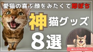 【即ポチ必須】猫用最強グッズTOP8を包み隠さず情報共有！