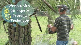 Pruning a Pindo Palm