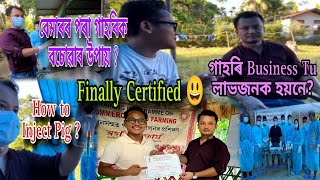 গাহৰি Business Tu লাভজনক হয়নে ? Finally Certified 😃