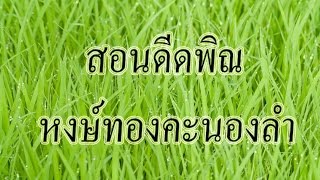 สอนดีดพิณ เพลง หงษ์ทองคะนองลำ