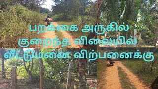 #Low Price Land for Sale Near #Parakkai #lotusrealestate #nagercoil #இடம் வாங்க விற்க