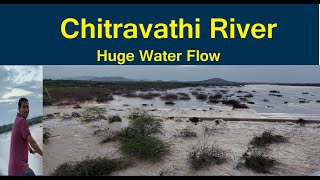 Chitravathi River| Huge Water Flow|Tributary of Penna River| Puttaparthi, Andhra Pradesh| Karnataka