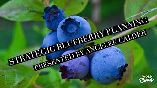 Strategic Blueberry Planning