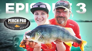 PERCH PRO 7 - Episode 3