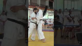 KWU World Cup in Open weight category 2023 #kyokushin #fullcontact #karate #kwunion #kwusenshi