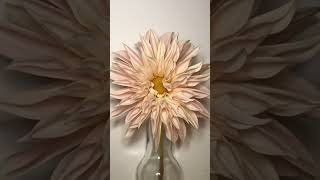 Enjoy! #dahlia #timelapse #fyp