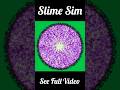 Slime Mold Simulation