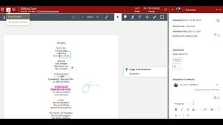 Canvas Speedgrader