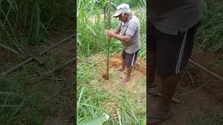 Iniciando a perfuração de  poço semi artesiano com bambú