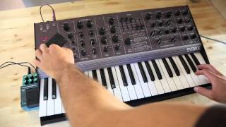 Synton Syrinx SN 1 Rare Purple Vintage Synthesizer Synth Keyboard Analog Demo 2