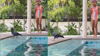 Allu Arha Playing With Pigeon |  Allu Arha Latest Video | Allu Arjun | TFPC