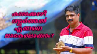 കാടക്കോഴി വളര്‍ത്തല്‍ എങ്ങനെ ലാഭകരമാക്കാം..