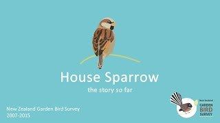 House Sparrow: the story so far. New Zealand Garden Bird Survey 2007 - 2015