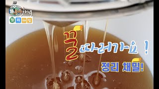 웰Beeing 9호① 정리채밀 3월-봄벌기르기