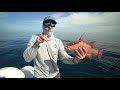 how to catch the motherload of hogfish bacon quest reloaded