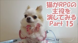 旭川市　動物病院　ほんむら動物病院で飼われている猫があのRPGの主役を演じてみる姿　Part15  お姫様救出編