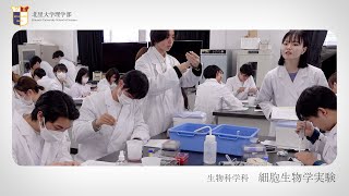 北里大学理学部 実習紹介 細胞生物学実験