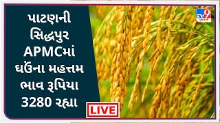 Mandi : પાટણની સિદ્ધપુર APMCમાં ઘઉંના મહત્તમ ભાવ રૂપિયા 3280 રહ્યા | Tv9News