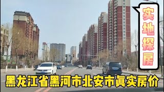 黑龙江省黑河市北安市真实房价，实地探房以买房者身份打电话谈价【鬼头看房】