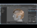 Create Maya hair - The basics