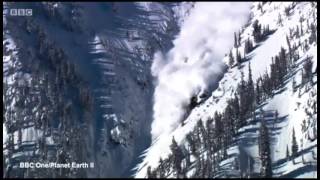 BBC airs spectacular avalanche footage from 10 years ago