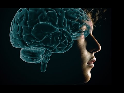 The Teenage Brain Is Primed For Addiction The Teenage Brain Is Primed For Addiction