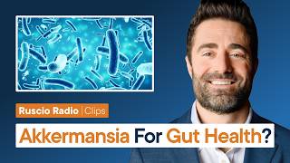 How Effective Is Akkermansia in Treating Gut Health? (Data Findings)