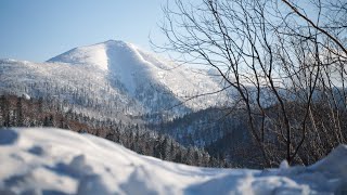 【powderWKND】2020,03,13-1 北海道ニセコのバックカントリーガイドツアー