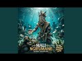 Mali Ngifumane (Ritaullsic Vocals)