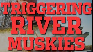 In-Fisherman | Triggering River Muskies