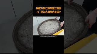 被称为“东方奶酪”的豆腐乳，工厂是怎么制作出来的？#豆腐乳 #毛豆腐 #霉豆腐 #豆腐 #纪录片 #纪录片解说 #涨知识