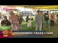 【伊党民政党终捧蛋而归  月亮各区吸上千巫裔票】