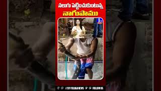 స్నానం చేస్తున్న పాము 😂 | Snake Bathing Funny Video | 1TV NEWS | #snake #snakefunny #snakebath