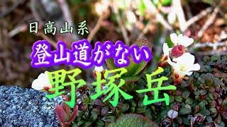 登山道はない！日高山系の野塚岳、2004年　Mt.NozukaDake 2004