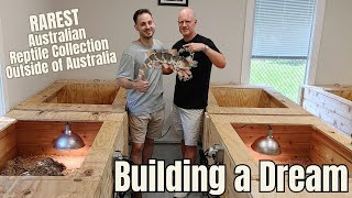 Super Rare Australian Reptile Breeding Facility - Shingleback Skink Heaven