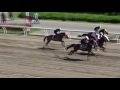 浦和競馬 2016 　第2回2歳能力試験、調教試験　2016 05 12