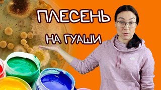 Гуашь покрылась плесенью! Почему? И что делать?