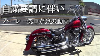 ハーレー洗車だけの動画