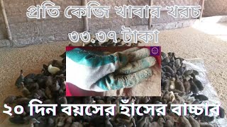 ২০ দিন বয়সের হাঁসের বাচ্চার জন্য  খাবার তৈরি। প্রতি কেজি খাবার খরচ ৩৩.৩৭ টাকা @FieldfreshAgro