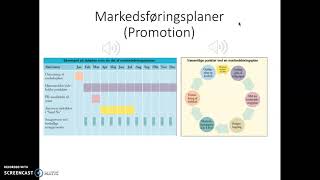 Afsætning C: Markedsføringsplaner (Promotion)