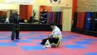 The Polar Gym Hapkido Class