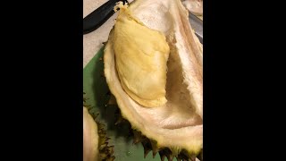 Ri 6 Durian Taste Test