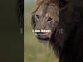 Attitude - Lion King - Don't Cross The Limit 🦁 👑 #shorts #attitude #status #lionking