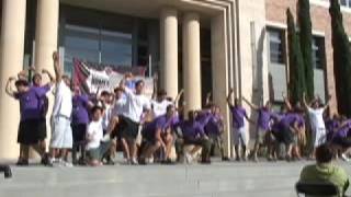 Delta Tau Delta Banner and Chant 2008