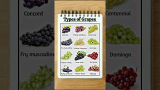 Types of Grapes | #grape | #shorts | #fruits