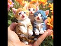 Cute Cat #cute #love #song #cat #tamil #youtubeshorts #naat #kucing #cuteanimal