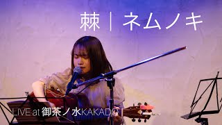 棘/ネムノキ【オリジナル】LIVE at 御茶ノ水KAKADO