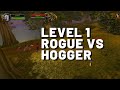 Level 1 Solo Hogger - WoW Classic