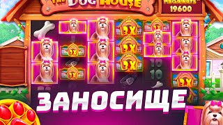 ПОЙМАЛ ЗАНОС С ПЕРВОЙ БОНУСКИ В THE DOG HOUSE MEGAWAYS , НО ЧТО-ТО ПОШЛО НЕ ПО ПЛАНУ...