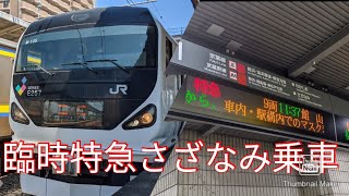 臨時さざなみ号E257系0番台で東京〜君津まで乗車